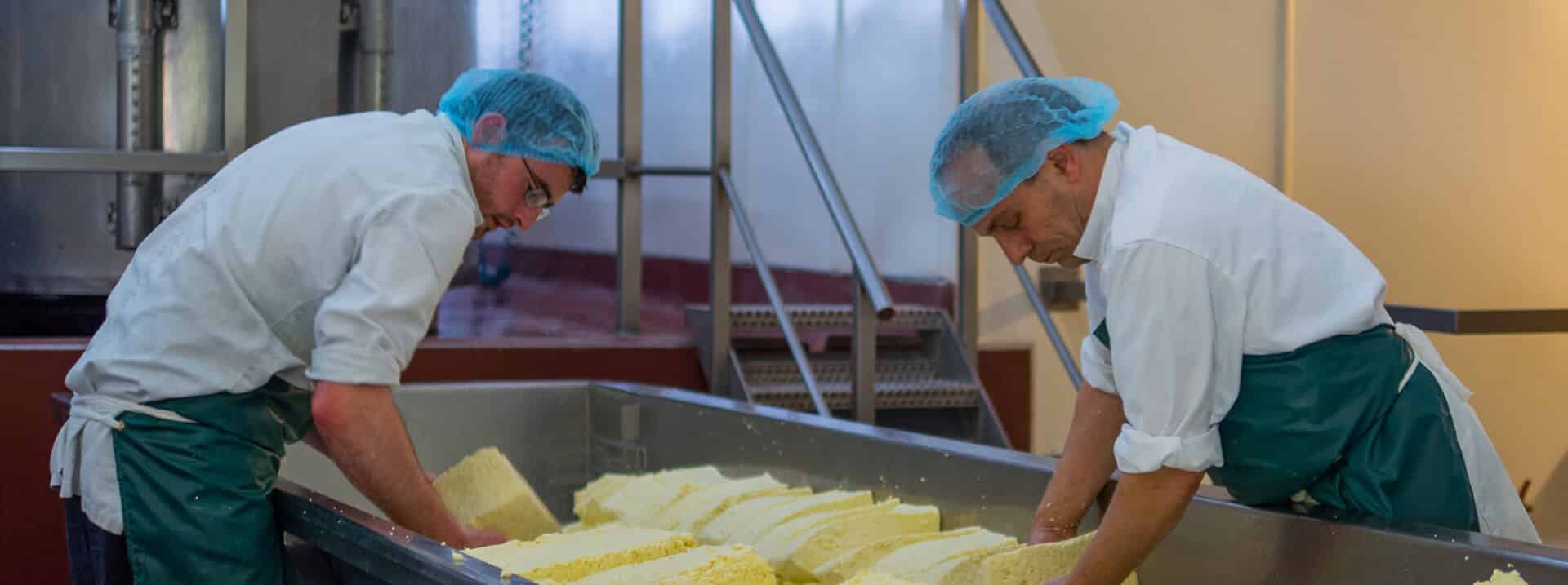 Cheese factory workers